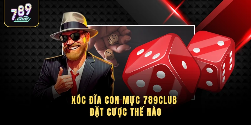Xóc đĩa con mực 789Club đặt cược thế nào